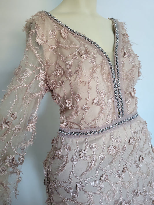 Beautiful Cartoon Color Long Sleeve Laced Plus-size Evening Dress